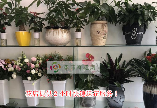 黄冈蕲春县花店提供黄冈蕲春县2小时快速送花服务